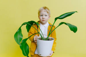 boy